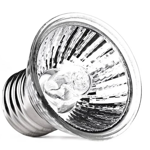 Amphibian Reptile Heat Lamp