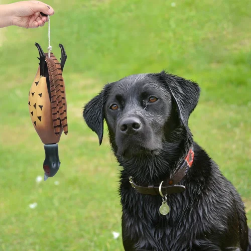 Hunting Dog Training Toy
