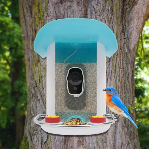 Solar Camera Bird Feeder