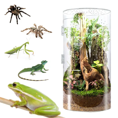 Jumping spider enclosure ecological cage transparent habitat insects spiders snakes scorpions arboreal habitat reptile breeding